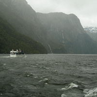 Cruise on Milford Sound